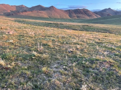 Nevada Ranch Recreational Hunting Mountain Land For Sale - image 47