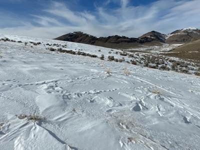 Nevada Ranch Recreational Hunting Mountain Land For Sale - image 7