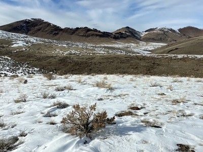 Nevada Ranch Recreational Hunting Mountain Land For Sale - image 13