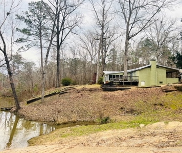 Alabama River Waterfront Home for Sale in Wilcox County, AL! - image 16