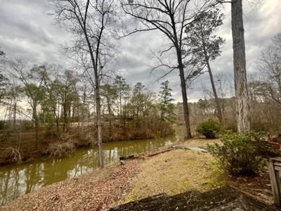 Alabama River Waterfront Home for Sale in Wilcox County, AL! - image 13