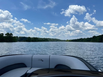 Alabama River Waterfront Home for Sale in Wilcox County, AL! - image 24