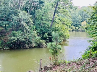 Alabama River Waterfront Home for Sale in Wilcox County, AL! - image 23