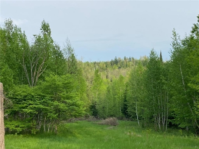 Cabin for Sale Near St Croix State Forest - Sandstone MN - image 8