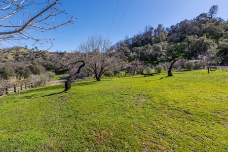 Northern CA Country Home with Fruit Trees & Cabin for Sale - image 36