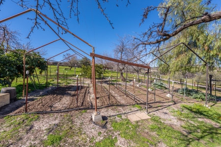 Northern CA Country Home with Fruit Trees & Cabin for Sale - image 35