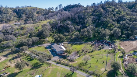 Northern CA Country Home with Fruit Trees & Cabin for Sale - image 47