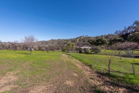 Northern CA Country Home with Fruit Trees & Cabin for Sale - image 37