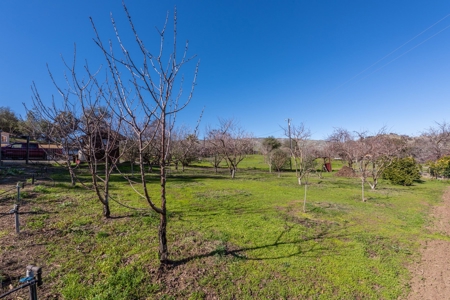 Northern CA Country Home with Fruit Trees & Cabin for Sale - image 34
