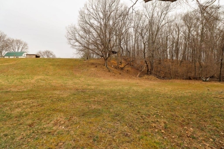 Mini Farm for Sale in Blue Ridge VA! - image 27