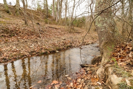 Mini Farm for Sale in Blue Ridge VA! - image 26