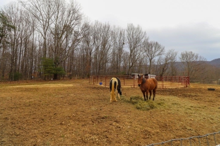 Mini Farm for Sale in Blue Ridge VA! - image 19