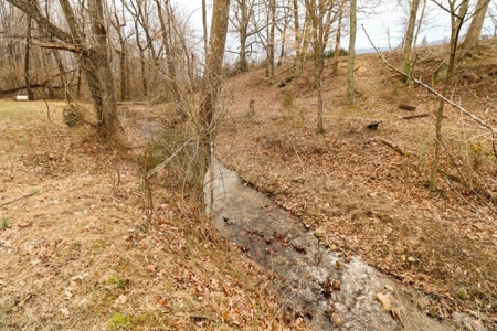 Mini Farm for Sale in Blue Ridge VA! - image 24