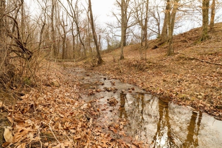 Mini Farm for Sale in Blue Ridge VA! - image 25
