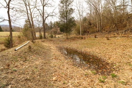 Mini Farm for Sale in Blue Ridge VA! - image 28