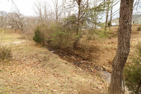 Mini Farm for Sale in Blue Ridge VA! - image 29