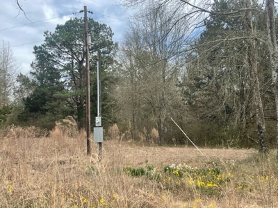 North East Texas Land For Sale - image 2