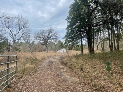 North East Texas Land For Sale - image 1