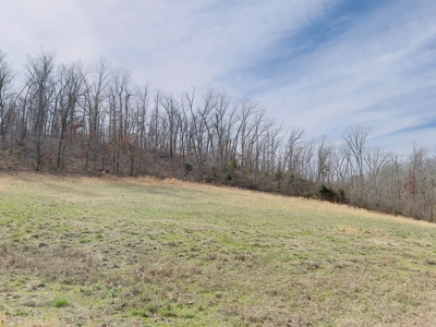 Investment Property With Acreage For Sale In Cushman, Ar - image 19