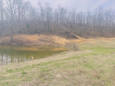 Investment Property With Acreage For Sale In Cushman, Ar - image 8