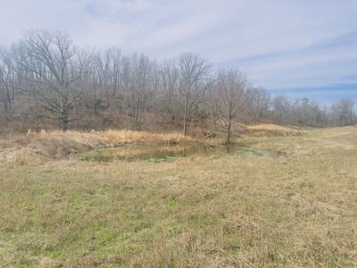 Investment Property With Acreage For Sale In Cushman, Ar - image 5