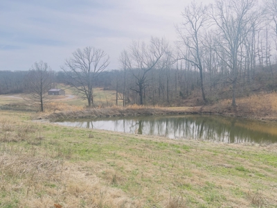 Investment Property With Acreage For Sale In Cushman, Ar - image 11