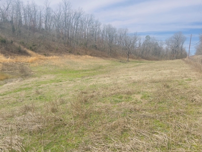 Investment Property With Acreage For Sale In Cushman, Ar - image 9