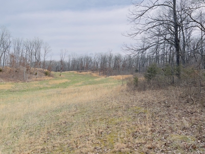 Investment Property With Acreage For Sale In Cushman, Ar - image 22