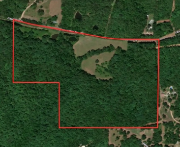Investment Property With Acreage For Sale In Cushman, Ar - image 2