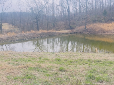 Investment Property With Acreage For Sale In Cushman, Ar - image 10