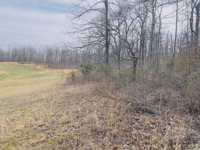 Investment Property With Acreage For Sale In Cushman, Ar - image 24