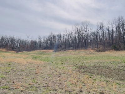 Investment Property With Acreage For Sale In Cushman, Ar - image 18