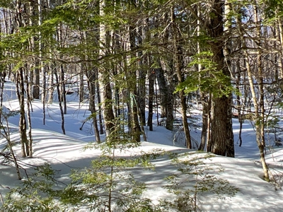 Lakefront Camp for Sale - image 20