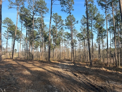 10.3 Acre Wooded Homesite - image 12