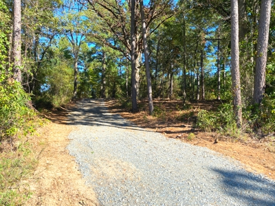 10.3 Acre Wooded Homesite - image 1