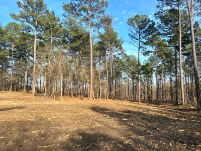10.3 Acre Wooded Homesite - image 9