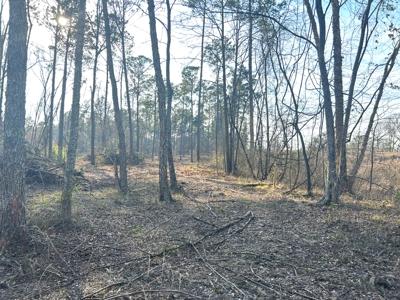 10.3 Acre Wooded Homesite - image 10