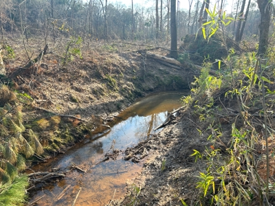 10.3 Acre Wooded Homesite - image 4