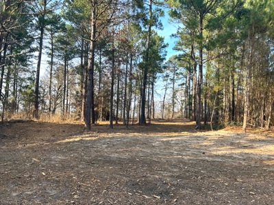 10.3 Acre Wooded Homesite - image 8