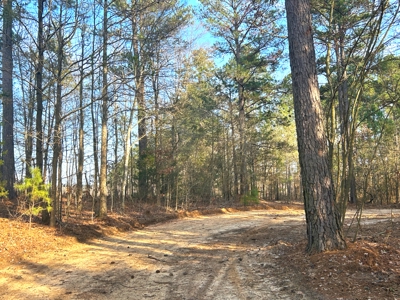 10.3 Acre Wooded Homesite - image 7