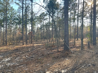 10.3 Acre Wooded Homesite - image 13
