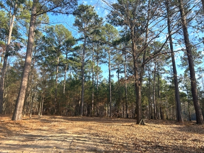 10.3 Acre Wooded Homesite - image 2