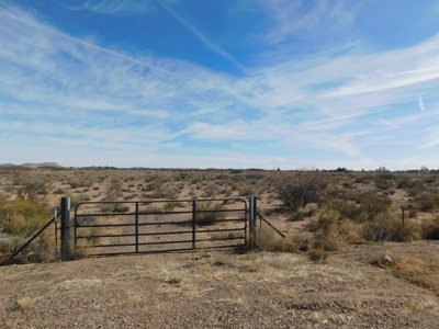 Real estate in Deming NM  Land for Sale - image 1