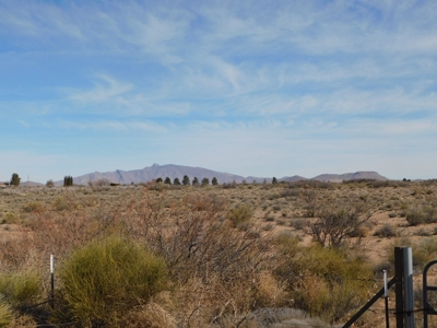 Real estate in Deming NM  Land for Sale - image 4