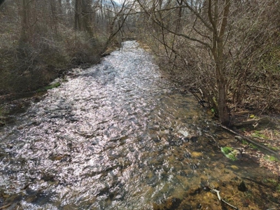 Private Mountain Retreat with Creek in Callaway VA! - image 7