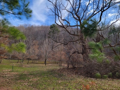 Private Mountain Retreat with Creek in Callaway VA! - image 10