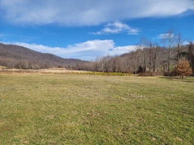 Private Mountain Retreat with Creek in Callaway VA! - image 3