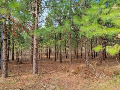 Private Mountain Retreat with Creek in Callaway VA! - image 12