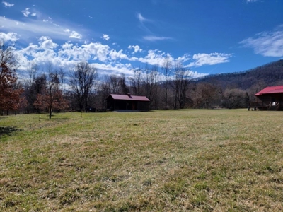 Private Mountain Retreat with Creek in Callaway VA! - image 27