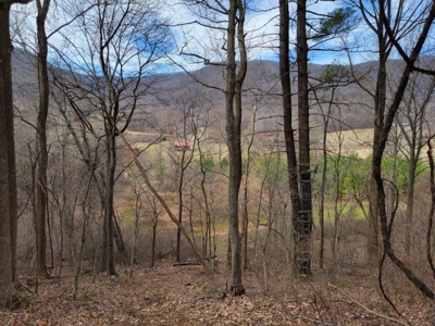 Private Mountain Retreat with Creek in Callaway VA! - image 17
